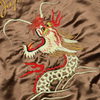 【2025SS】2094 Skajan “Hawk & Dragon”