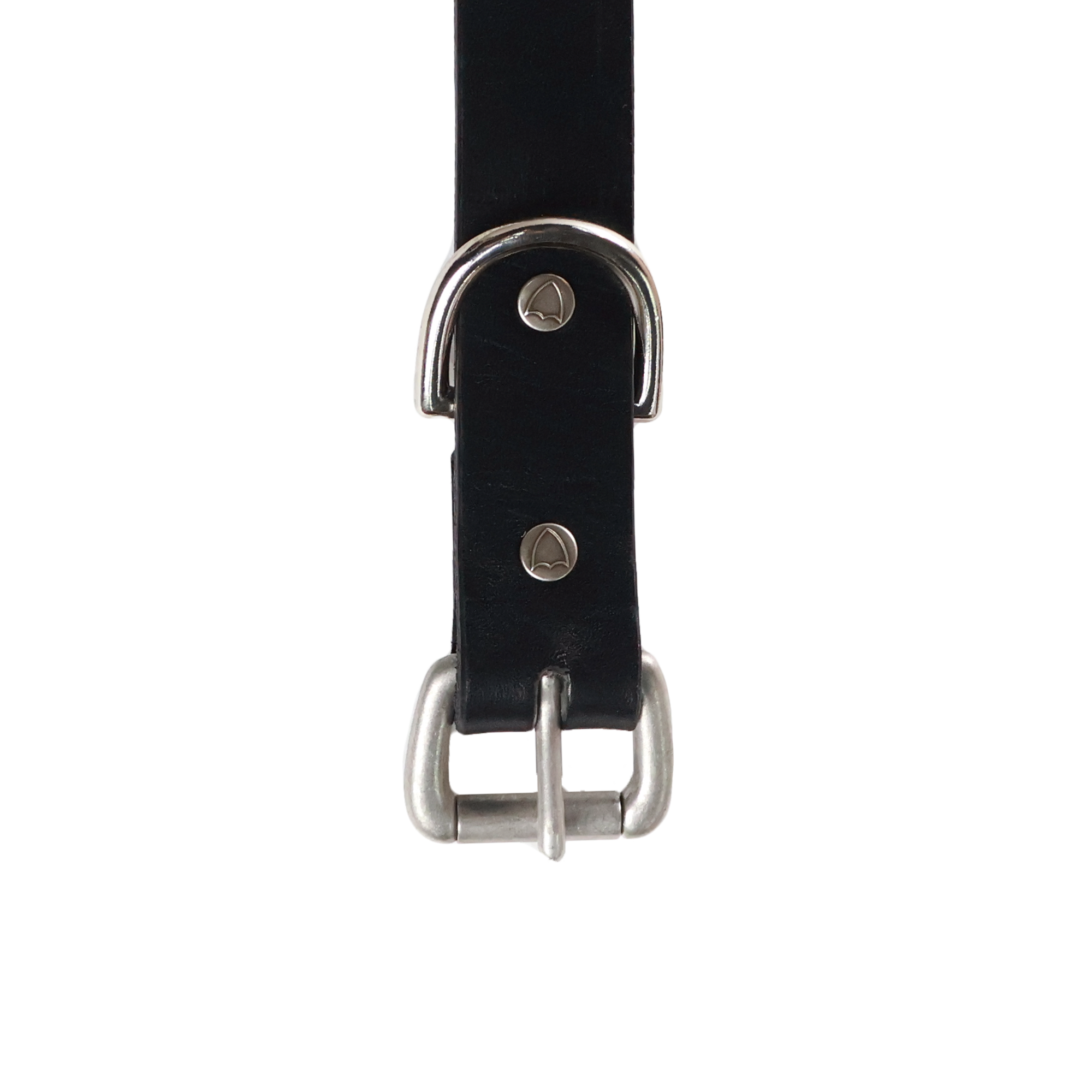 【26AW】6216HTC Flower Studs Belt by Zip Stevenson HTC