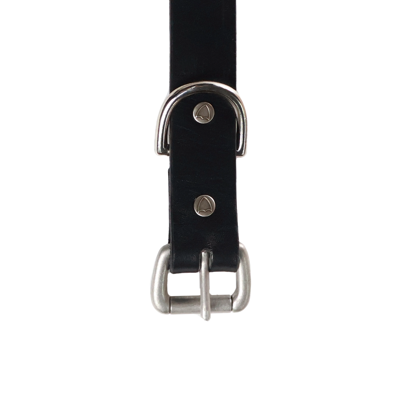 【26AW】6216HTC Flower Studs Belt by Zip Stevenson HTC